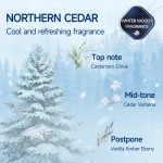 Laundry Detergent Supplier - Custom Cedar Scent Enzyme Laundry Detergent