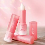 Lip Balm Factory - ODM Cranberry AHA Exfoliating Moisturizing Lip Balm