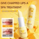Lip Balm Supplier - Custom Butter Vitamin C Glossy Repair Lip Balm