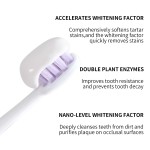 Toothpaste Manufacturer - OEM Private Label Whitening Toothpaste for Home Use