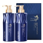 Hair Treatment Manufacturer - OEM Custom Caviar Essence Repair Hair Care Set
