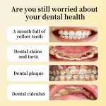 Toothpaste Factory - ODM Osmanthus Mint Plaque Control Enamel Safe Toothpaste