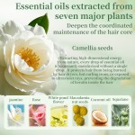 Camellia Extract Hair Oil Manufacturer - OEM Custom Hair Oil for Frizz Control and Shine