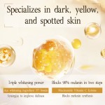 Whitening Serum Factory - ODM Anti-Wrinkle Brightening Nourishing Essence