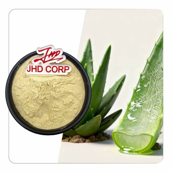 Aloe Vera Powder Factory - ODM 100X 200X Freeze Dried Aloe Vera Powder