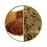 Flaxseed Extract Supplier - OEM 20% 40% 60% Flax Lignans Powder