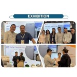 Saw Palmetto Supplier - OEM 20% 45% Fatty Acid Saw Palmetto Extract