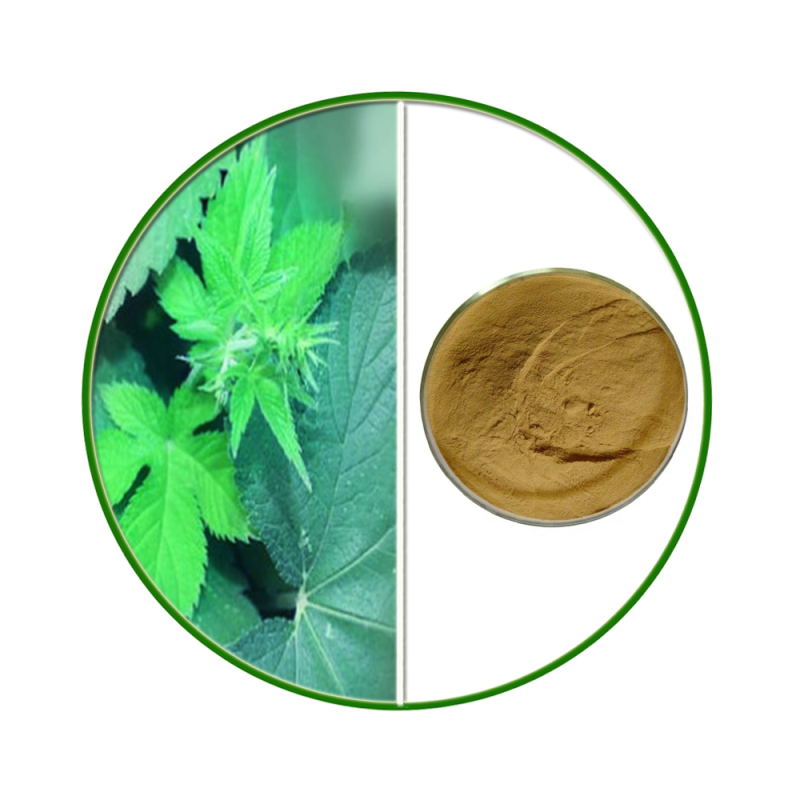 Devils Claw Extract Supplier - OEM Natural Harpagosides Root Extract Powder