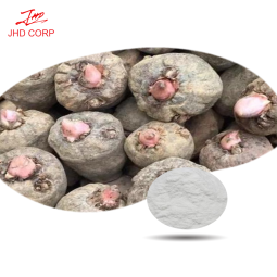 Konjac Powder Manufacturer - ODM Konjac Glucomannan Powder CAS 37220-17-0
