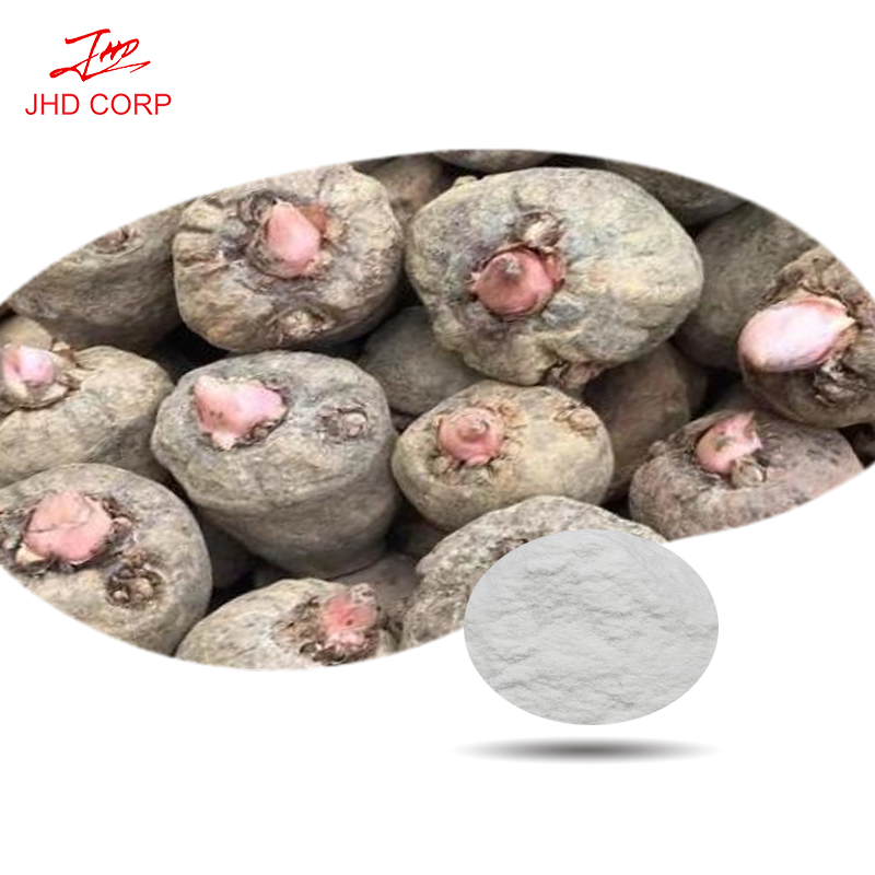 Konjac Powder Manufacturer - ODM Konjac Glucomannan Powder CAS 37220-17-0