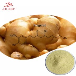 Ginger Extract Factory - ODM 1% Gingerol Water Soluble Ginger Powder
