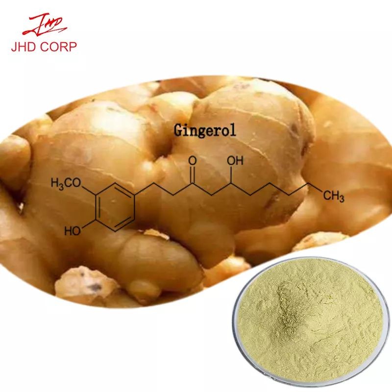 Ginger Extract Factory - ODM 1% Gingerol Water Soluble Ginger Powder