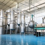 Green Tea Extract Manufacturer - ODM L-Theanine Tea Polyphenols Powder