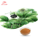 Siberian Ginseng Manufacturer - ODM Siberian Ginseng Extract Powder