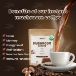 Mushroom Coffee Factory - ODM 5-in-1 Reishi Lions Mane Instant Coffee
