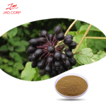 Siberian Ginseng Manufacturer - ODM Siberian Ginseng Extract Powder