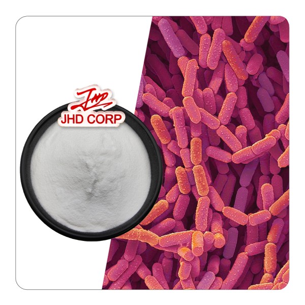 Probiotics Powder Factory - ODM 10 Billion CFU/g Lactobacillus Rhamnosus