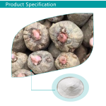 Konjac Powder Manufacturer - ODM Konjac Glucomannan Powder CAS 37220-17-0