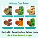 Probiotics Blend Factory - ODM Compound Freeze-dried Probiotics Powder