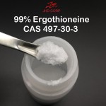 EGT Powder Manufacturer - ODM 99% L-Ergothioneine Cosmetic Grade Powder