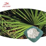 Saw Palmetto Supplier - OEM 20% 45% Fatty Acid Saw Palmetto Extract