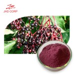 Elderberry Powder Factory - ODM Natural Black Elderberry Fruit Extract Powder