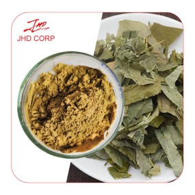 Epimedium Extract Supplier - OEM 20% Icariin Horny Goat Weed Powder