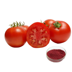 Lycopene Powder Factory - ODM 10% Lycopene Extract for Food Additives