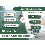 Probiotics Powder Factory - ODM 10 Billion CFU/g Lactobacillus Rhamnosus