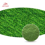 Spirulina Powder Factory - ODM Natural Organic Spirulina Powder for Sale
