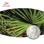 Saw Palmetto Supplier - OEM 20% 45% Fatty Acid Saw Palmetto Extract