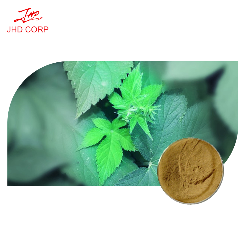 Devils Claw Powder Factory - ODM Harpagosides Devils Claw Root Extract