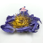 Blue Lotus Tea Supplier - OEM Dried Blue Lotus Blooming Tea Flowers