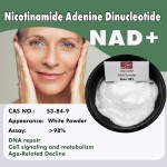 Nicotinamide Riboside Supplier - OEM Pure NR Chloride Powder Supplement