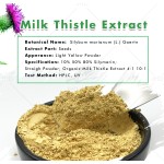 Milk Thistle Extract Manufacturer - ODM 80% Silymarin Milk Thistle Powder
