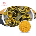 Berberine Powder Manufacturer - ODM 97% Berberine HCl Natural Powder