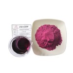 Elderberry Powder Factory - ODM Natural Black Elderberry Fruit Extract Powder