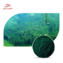 Spirulina Powder Factory - ODM Natural Organic Spirulina Powder for Sale