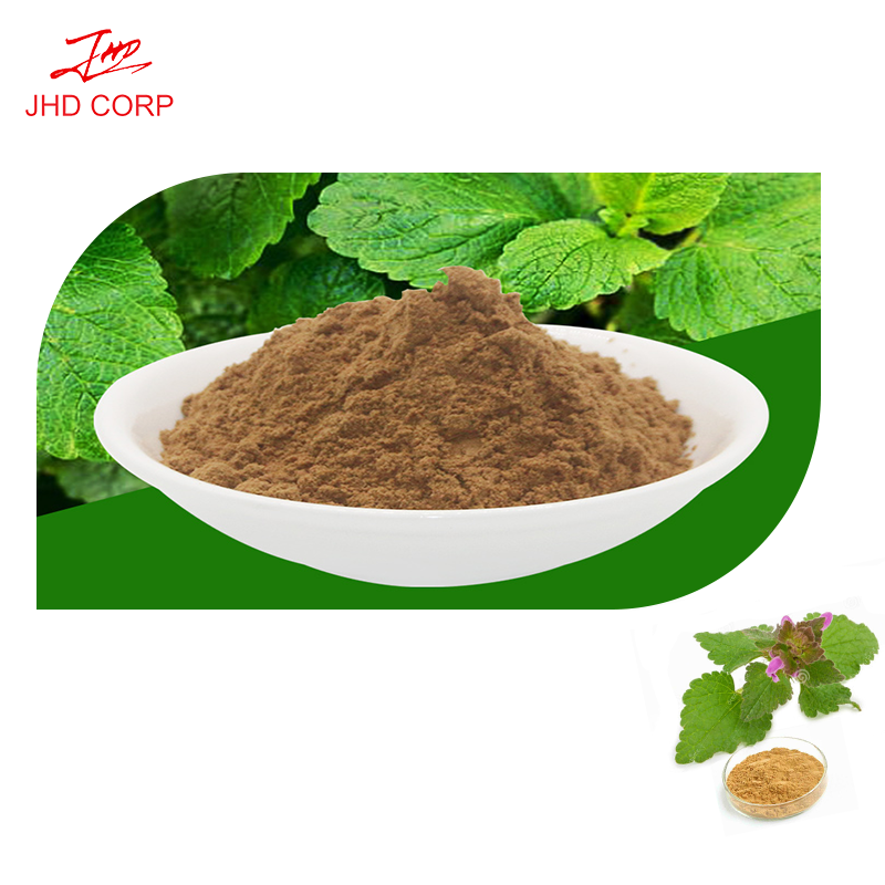 Lemon Balm Extract Manufacturer - ODM 20:1 Melissa Officinalis Leaf Powder