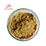 Epimedium Extract Supplier - OEM 20% Icariin Horny Goat Weed Powder