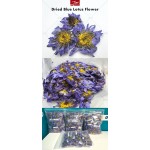 Blue Lotus Tea Supplier - OEM Dried Blue Lotus Blooming Tea Flowers