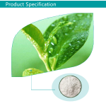 L-Theanine Powder Manufacturer - ODM Best Price Suntheanine Powder