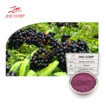 Elderberry Powder Factory - ODM Natural Black Elderberry Fruit Extract Powder