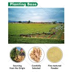 Ginger Extract Factory - ODM 1% Gingerol Water Soluble Ginger Powder