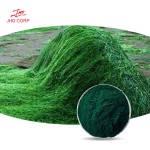 Spirulina Powder Factory - ODM Natural Organic Spirulina Powder for Sale