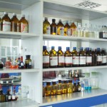 Fenugreek Extract Manufacturer - ODM 50% Saponins Fenugreek Seed Powder