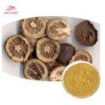 Citrus Aurantium Extract Supplier - OEM Natural Immunity Boost Citrus Powder