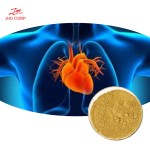 Citrus Aurantium Extract Supplier - OEM Natural Immunity Boost Citrus Powder