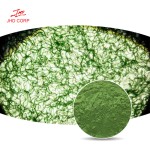Chlorella Powder Supplier - OEM High Protein Chlorella Vulgaris Extract