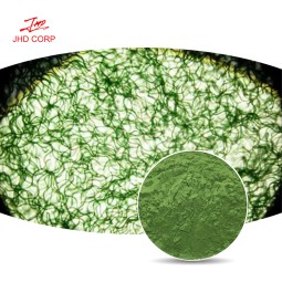 Chlorella Powder Supplier - OEM High Protein Chlorella Vulgaris Extract